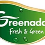 company profile image